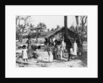 Village scene, Trincomalee, Ceylon by Anonymous