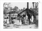 Village scene, Trincomalee, Ceylon by Anonymous