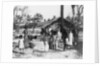 Village scene, Trincomalee, Ceylon by Anonymous