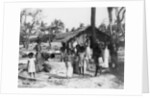 Village scene, Trincomalee, Ceylon by Anonymous