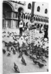 Woman surrounded by pigeons, St Mark's Square, Venice, Italy by Anonymous