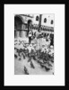Woman surrounded by pigeons, St Mark's Square, Venice, Italy by Anonymous