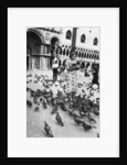 Woman surrounded by pigeons, St Mark's Square, Venice, Italy by Anonymous