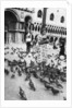 Woman surrounded by pigeons, St Mark's Square, Venice, Italy by Anonymous