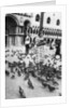 Woman surrounded by pigeons, St Mark's Square, Venice, Italy by Anonymous