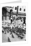 Woman surrounded by pigeons, St Mark's Square, Venice, Italy by Anonymous