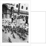 Woman surrounded by pigeons, St Mark's Square, Venice, Italy by Anonymous
