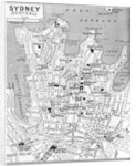 Map of central Sydney, New South Wales, Australia by Anonymous