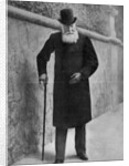 Leopold II, King of the Belgians by Anonymous