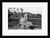 Alabaster Sphinx at Memphis, Egypt by Anonymous