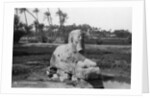 Alabaster Sphinx at Memphis, Egypt by Anonymous