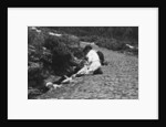 Washing day in Madeira, Portugal by Anonymous