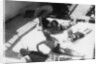 Passengers sunbathing on board a cruise ship by Anonymous