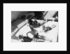 Passengers sunbathing on board a cruise ship by Anonymous