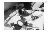Passengers sunbathing on board a cruise ship by Anonymous