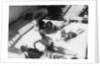 Passengers sunbathing on board a cruise ship by Anonymous
