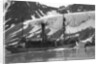 Whaling, Magdalene Bay, Spitzbergen, Norway by Anonymous