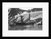 Whaling, Magdalene Bay, Spitzbergen, Norway by Anonymous
