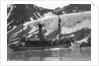 Whaling, Magdalene Bay, Spitzbergen, Norway by Anonymous