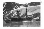 Whaling, Magdalene Bay, Spitzbergen, Norway by Anonymous