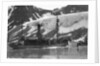 Whaling, Magdalene Bay, Spitzbergen, Norway by Anonymous
