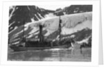 Whaling, Magdalene Bay, Spitzbergen, Norway by Anonymous