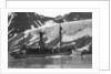 Whaling, Magdalene Bay, Spitzbergen, Norway by Anonymous