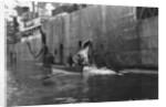 Whaling, Magdalene Bay, Spitzbergen, Norway by Anonymous