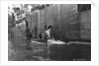Whaling, Magdalene Bay, Spitzbergen, Norway by Anonymous
