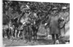 Tourists posing alongside a man with reindeer, Lyngen, Norway by Anonymous