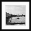 Swimming pool, Balboa, Panama by Anonymous