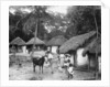 Family outside their home, Coolie Street, Kingston, Jamaica by Anonymous
