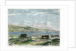 View of the Bay of Valparaiso, Chili by Anonymous