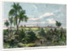 View of Vera Cruz, on the Gulf of Mexico' by Anonymous