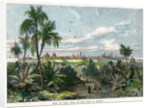 View of Vera Cruz, on the Gulf of Mexico' by Anonymous