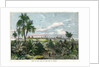 View of Vera Cruz, on the Gulf of Mexico' by Anonymous