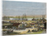 Mississippi River, New Orleans, Louisiana, USA by Barbant
