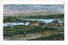 View of the western suburbs of Victoria, Vancouver Island, British Columbia, Canada by Anonymous