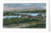 View of the western suburbs of Victoria, Vancouver Island, British Columbia, Canada by Anonymous