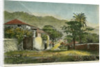 A street in Roseau, Dominica by Pann