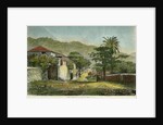 A street in Roseau, Dominica by Pann