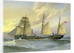 HMS Thrush, British 1st class gunboat by William Frederick Mitchell