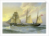 HMS Thrush, British 1st class gunboat by William Frederick Mitchell