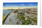 Rockery Promenade, Blackpool, Lancashire by Anonymous