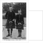 The Prince of Wales and Prince Henr by Ernest Brooks