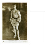 The Prince of Wales by D Knights Whittome