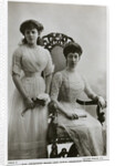 Princess Maud and the Princess Royal by Anonymous