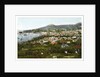 Funchal, Madeira by Anonymous