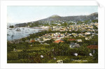 Funchal, Madeira by Anonymous