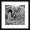 The dead maneater, Behar jungle, India by Underwood & Underwood
